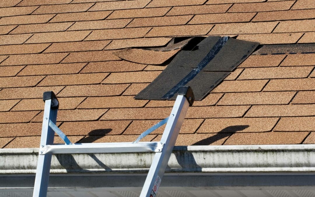 Spring Troubles: The Most Common Spring Roof Problems in Houston