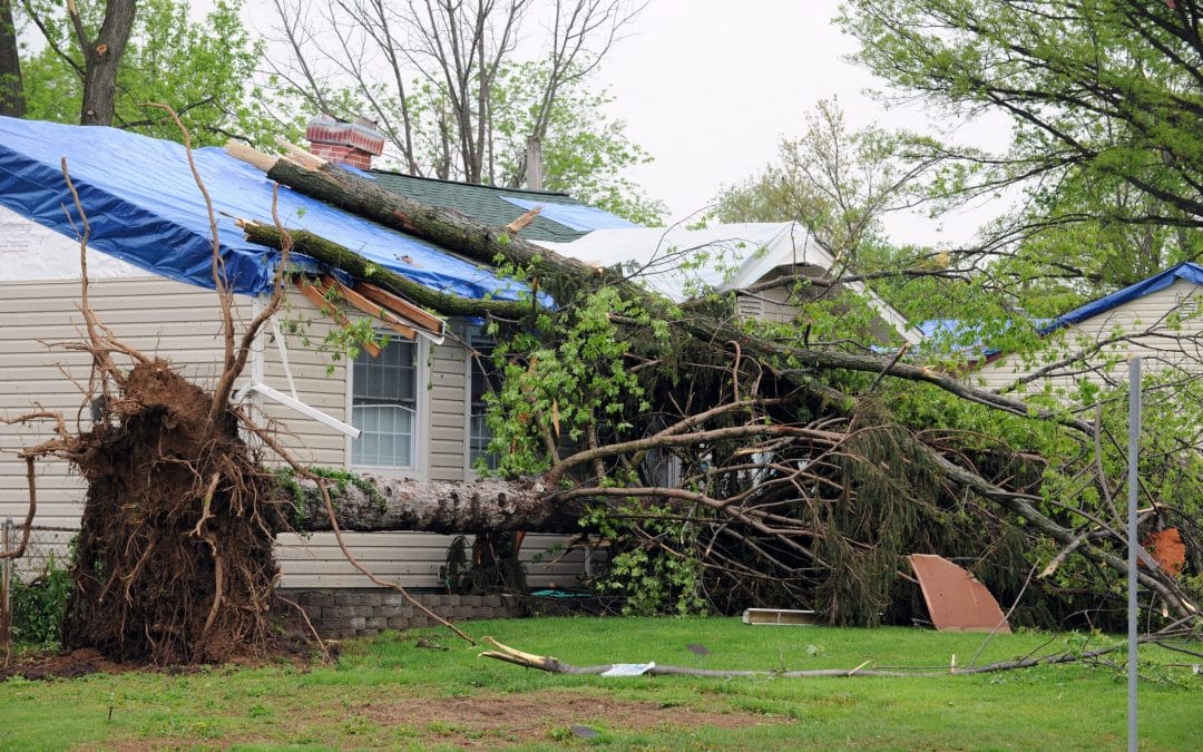 Roof Storm Damage: 5 Steps to Take to Recover in Jersey Village